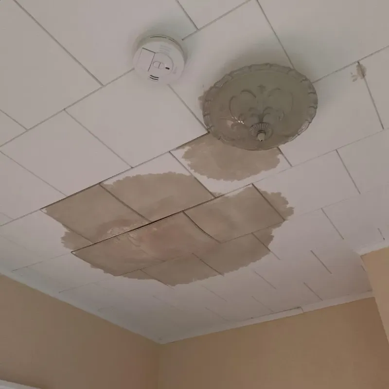Ceiling Water Damage Repair in Lake Como, NJ
