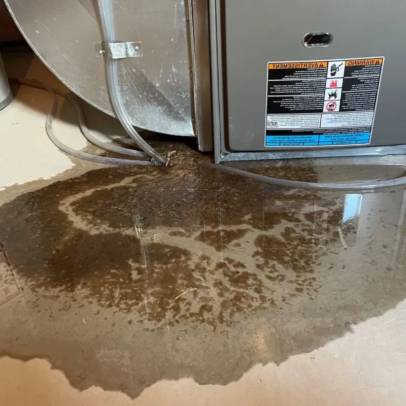 Pipe Burst and Leak Restoration in Lake Como, NJ